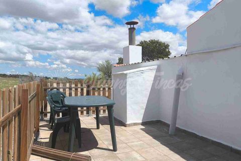 Landejendom i Yecla, Murcia, Yecla - € 225.000 | Ref: SF0527 - foto 15